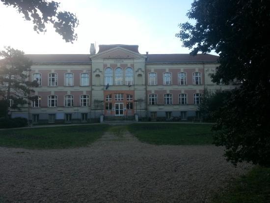 Savaria Museum